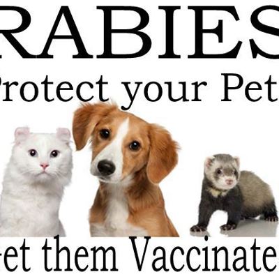 Protect your pets from rabies