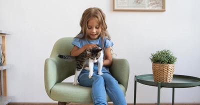 Girl holding a cat.