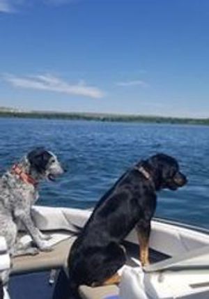 Photo of Zeus on a boat