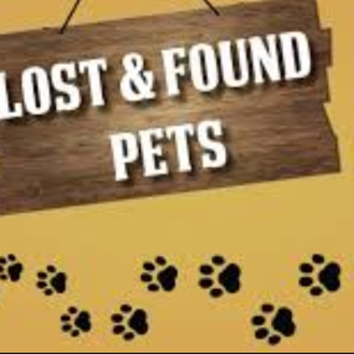 Statement Regarding Lost and Found animals