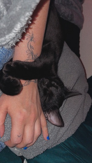 Kovu and my girlfriend