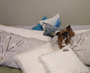 Enjoying the pillows