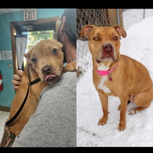 Daisy the day we got her and her now.