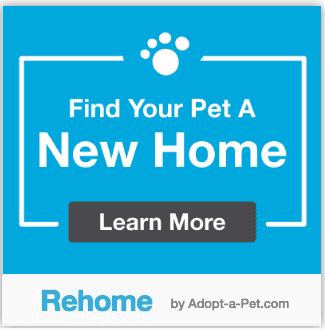 Rehome Pet Relocator